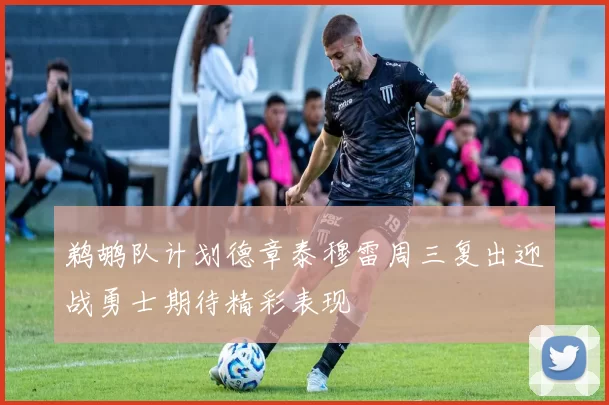 鹈鹕队计划德章泰穆雷周三复出迎战勇士期待精彩表现