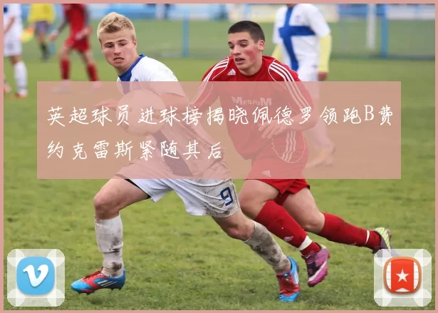 英超球员进球榜揭晓佩德罗领跑B费约克雷斯紧随其后
