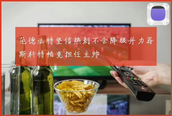 范德法特坚信热刺不会降级并力荐斯科特帕克担任主帅