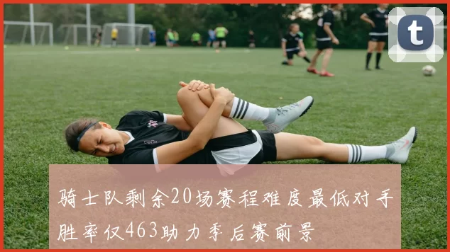 骑士队剩余20场赛程难度最低对手胜率仅463助力季后赛前景